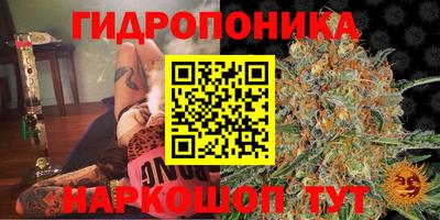 spice Кинель